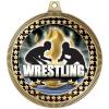 2.75" Wrestling Titan Series Medal Awards, Gold Vega Wrestling Titan Series Team Trophy Awards Includes Free Neck Ribbon 50 Pack Prime view 2