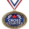 2.75" Cross Country Award Medals, Gold Vega Cross Country Team Trophy Awards Includes Free Neck Ribbon 100 Pack view 1