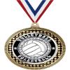 2.75" Volleyball Ice Award Medals, Gold Vega Volleyball Ice Team Trophy Awards Includes Free Neck Ribbon 50 Pack view 1