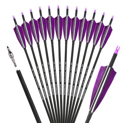 ZSHJGJR 30 Inch Archery Carbon Arrows Hunting Arrows with 4 Turkey Feather Target Practice Arrows Spine 500 for Compound & Recurve &Traditional Bow 6/12pcs (Purple, 12pcs Arrows)