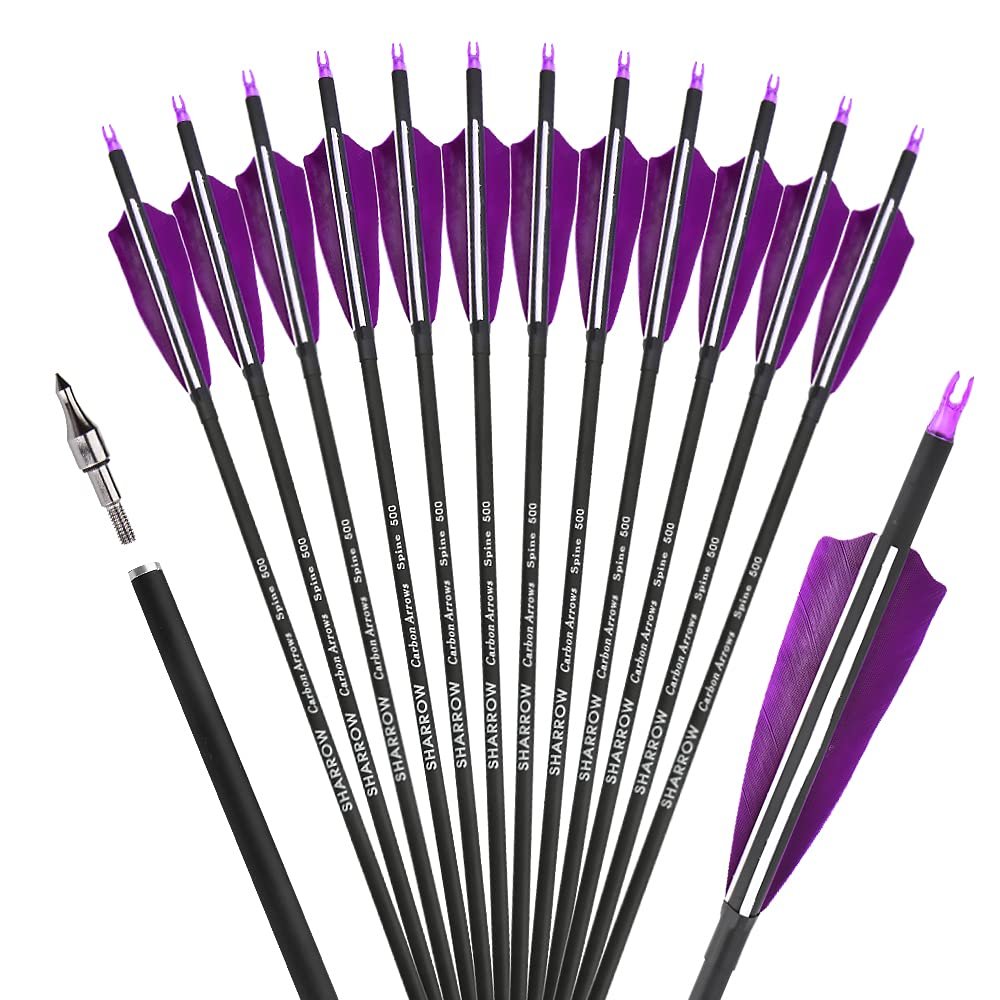 ZSHJGJR 30 Inch Archery Carbon Arrows Hunting Arrows with 4 Turkey Feather Target Practice Arrows Spine 500 for Compound & Recurve &Traditional Bow 6/12pcs (Purple, 12pcs Arrows)