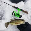 KastKing Zephyr Spinning Reel Green Size 500,Light to 5.6oz, 7+1BB Smooth Powerful Fishing Reel, Fresh&Saltwater Fishing Reel, Oversized Stainless Steel Main Shaft view 2