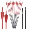 Carbon Arrow Archery 26inch Hunting Target Practice Arrows for Compound & Recurve Bow Spine 500 with Removable Tips (Pack of 12) view 1