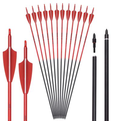 Carbon Arrow Archery 28inch Hunting Target Practice Arrows for Compound & Recurve Bow Spine 500 with Removable Tips (Pack of 12)