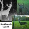 BuckStik BuckBranch Tree/Post Mounted Deer Licking Branch Mock Scrape System | Includes Pure Gland Scents | Licking Branch | Alternative to Baiting | Deer Attractant | Bow Hunting | Buck Stick view 4