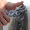 danco Premio Titanium Fishing Pliers, with Lanyard & Leather Sheath, Saltwater-Resistant Pliers for Offshore and Inshore Anglers, 7" Offshore, Titanium view 2