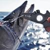 danco Premio Titanium Fishing Pliers, with Lanyard & Leather Sheath, Saltwater-Resistant Pliers for Offshore and Inshore Anglers, 7" Offshore, Titanium view 3