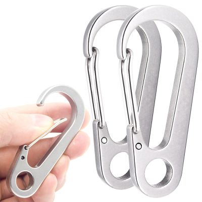 DOKEEP 2PCS 2.77 Inch Stainless Steel Carabiner Clip Spring-Snap Hook,EDC Heavy Duty Mini Custom Quick Release Hook for Outdoor Key Chain Swing Set Camping Fishing Hiking Traveling Hammock (2.77 Inch)