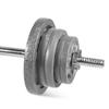 WF Athletic Supply Adjustable Dumbbells Barbell Weight Set with 1-Inch Threaded Chrome Knurled EZ Curl or Straight Bar Handle, Strength Training for Home Gym Weight Lifting, Gray Grip Plate Sets view 1