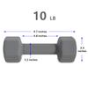ATcuji 10LB Set of 2 Hex Dumbbells Rubber Coated Cast Iron Hex Black Dumbbell Free Weights for Exercises Neoprene Dumbbell Hand Weights Anti-Slip Anti-roll Hex Shape Colorful 10Lbs Pair view 3
