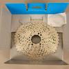 CS-M4100-10 Cassette 10 Speed, 11-42 Mountain Gravel Cassette view 2