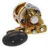 Avet SX 6/4 G2NGP MC RH-GD G2 Series SX 6/4 MC, RH (Gold) view 3