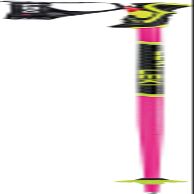 LEKI Unisex Adult Ski Poles, Neon Pink/Black/Neon Yellow, 100