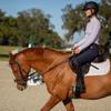 Equinavia Saga Padded Cavesson Dressage Bridle with Reins and Removable Flash - Black - Warmblood view 4