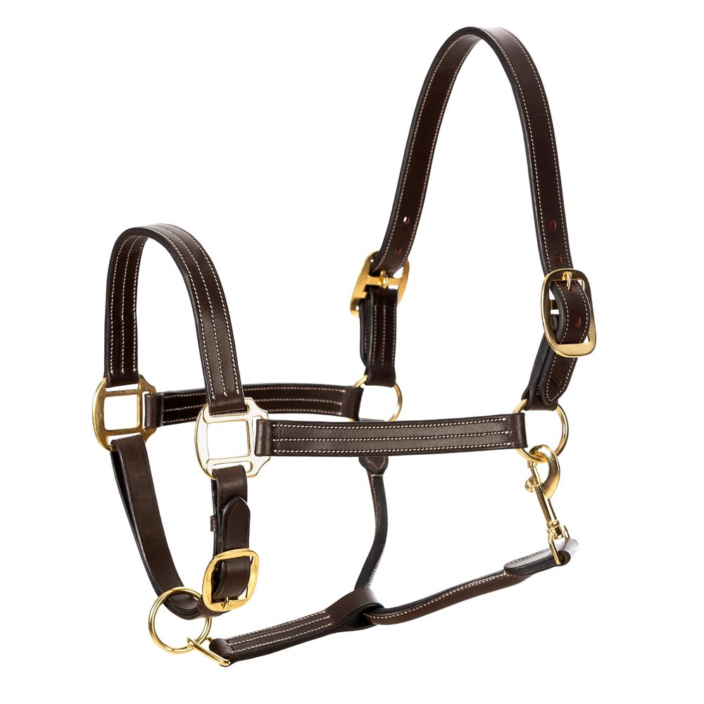 Equinavia Valkyrie Triple Stitched Adjustable Leather Halter with Brass Plated Hardware - Chocolate Brown - Warmblood