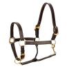 Equinavia Valkyrie Triple Stitched Adjustable Leather Halter with Brass Plated Hardware - Chocolate Brown - Warmblood view 1
