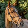 Equinavia Saga Adjustable Padded Fancy Stitched Figure 8 Bridle with Reins - Chocolate Brown - Horse view 3