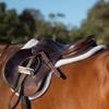 Equinavia Valkyrie Covered Stirrup Leathers with Stainless Steel Buckles - Oakbark Brown - 48 in view 2