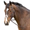 Equinavia Valkyrie Fancy Stitched Padded Figure 8 Bridle with Reins - Chocolate Brown - Cob view 4