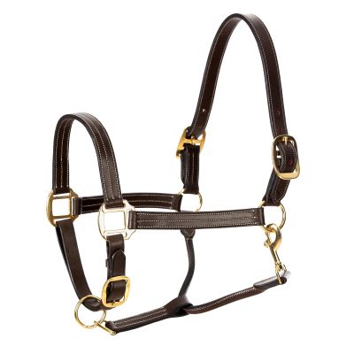 Equinavia Valkyrie Triple Stitched Adjustable Leather Halter with Brass Plated Hardware - Chocolate Brown - Horse