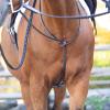 Equinavia Saga Adjustable Leather Standing Martingale with Stainless Steel Hardware (Stopper Not Included) - Chocolate Brown - Cob view 3