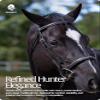 Equinavia Saga Adjustable Padded Fancy Stitched Hunter Bridle with Reins - Chocolate Brown - Warmblood view 4