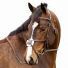 Equinavia Valkyrie Fancy Stitched Padded Figure 8 Bridle with Reins - Chocolate Brown - Warmblood view 3