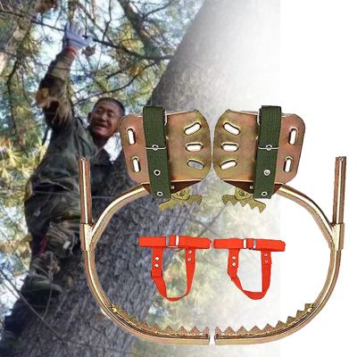 wzfdm Tree Climbing Gear Climbing Spikes Easy-to-Use Tree Climbing Equipment, Non-Slip Stainless Steel Crampons,300Model