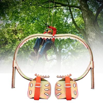 wzfdm Tree Climbing Gear Climbing Spikes Easy-to-Use Tree Climbing Equipment, Non-Slip Stainless Steel Crampons,300Model