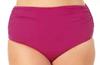 Anne Cole Womens Hi Waist Shirred Bottom, 20W view 4