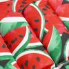 AWIBMK Kids Boys Girls One-Piece Sleeveless Floatation Swimsuit Float Suit Baby Lovely Print with Adjustable Vest Buoyancy Bathing Suit Swimwear Swim Red Watermelon 12-18 Months view 3