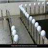 10PCS/LOT Indoor Outdoor Practice Training Aids Golf Balls Outdoor Sports White PU Foam Double Layer Golf Ball view 2