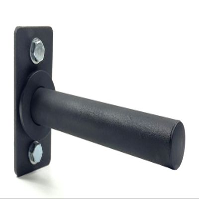 Trenbon Standard Wall Mount Weight Plate Holder for 1" Standard Weight Plate & Wall Mount Storage, 100lb Capacity (Black Single)