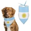 Argentina Flag Dog Bandana Pet Bib Dog Scarf Pet Holiday Supplies view 1