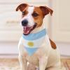 Argentina Flag Dog Bandana Pet Bib Dog Scarf Pet Holiday Supplies view 3