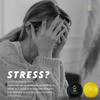 Pride & Tranquility Hand Therapy Exercise Stress Ball - Two-Density Stress Balls & Grip Strength Trainer for Adults for Anxiety Stress Relief view 3