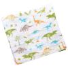 Stephen Joseph Blanket & Beanie Set, Dino view 3