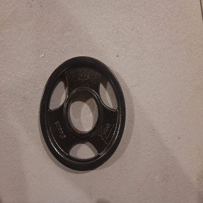 Biggins Machined Cast 2.0 Iron 2.5Lb Olympic Weight Plate Pair