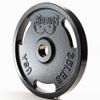Biggins 1.0 Machined Cast Iron 35Lb Olympic Weight Plate Pair view 2