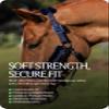 Equinavia Valkyrie Ultra Fleece Breakaway Horse Halter | Padded Fleece Adjustable Safety Halter with Nylon Webbing - Navy/Navy - Cob view 4