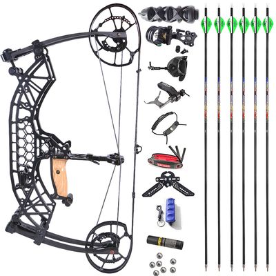 AMEYXGS Archery Compound Bow Catapult Steel Ball Dual-use Bowfishing Hunting Bow Outdoor Shooting 35-65lbs Adjustable Adult Bow Right Hand (Black Set)
