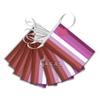 AGAS Mfg 60' Lipstick Lesbian Rectangle Streamer (5 mil Plastic) view 1