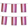 AGAS Mfg 60' Lipstick Lesbian Rectangle Streamer (5 mil Plastic) view 2