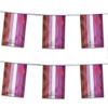 AGAS Mfg 60' Lipstick Lesbian Rectangle Streamer (5 mil Plastic) view 4