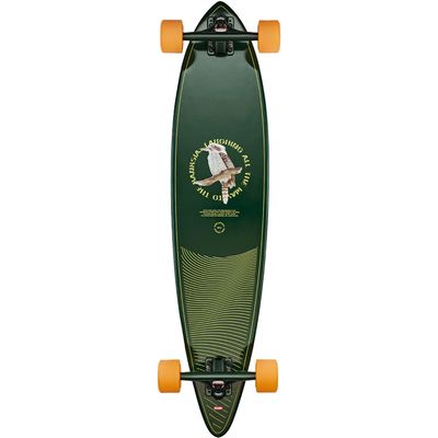 Globe Pintail 37 Complete Skateboard -8.5x37.5 Kookaburra