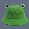 Kids Bucket Hat for Girls Boys Summer Cute Animal Hiking Beach Fishing Cap Beach Hats Photography Sun Hat(Green,One Size) view 2