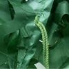 Pxzybd Military Camouflage Netting,Light and Durable,Sunscreen Camouflage Net,Green,Camping,Hunting,Theme Party Decoration,Car Cover Camo Netting,Shade Net,Customizable,Green-2x8m(6.6 * 26.2ft) view 3