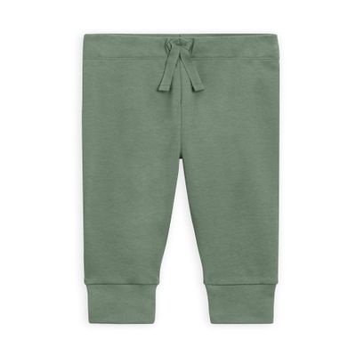 Colored Organics - Cruz Joggers Organic Cotton Baby Pants - Kids & Baby Clothes - Thyme Green - 3T