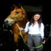 Tack Shack of Ocala Custom Padded Leather Halter with Customized Engraved Name Plate Option Horse Halter (Small Pony/Weanling) view 3