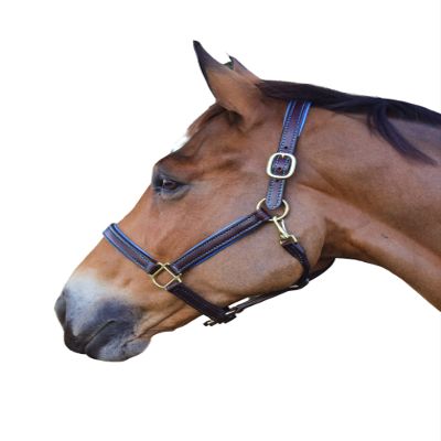 Tack Shack of Ocala Custom Padded Leather Halter with Customized Engraved Name Plate Option Horse Halter (Warmblood)